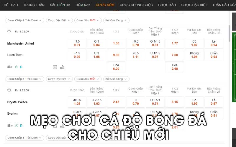 Một số mẹo chơi cá độ bóng đá cho chiếu mới