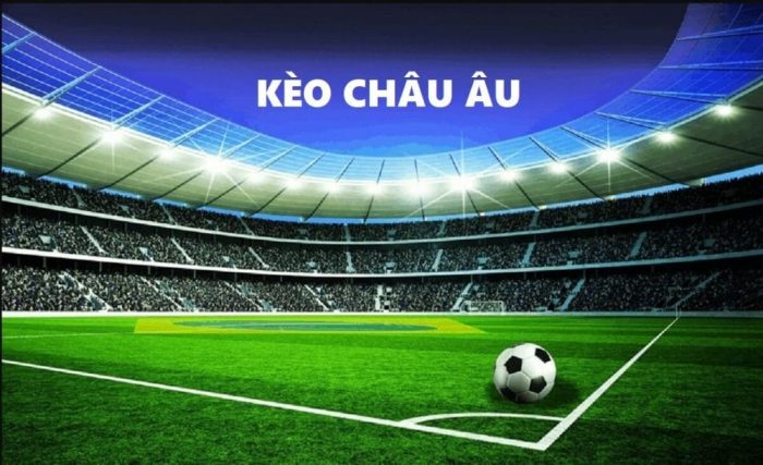 Cách đọc kèo Châu Âu đơn giản hợp với cả người mới