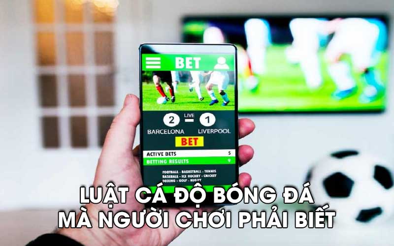 Luật cá độ bóng đá mà người chơi phải biết