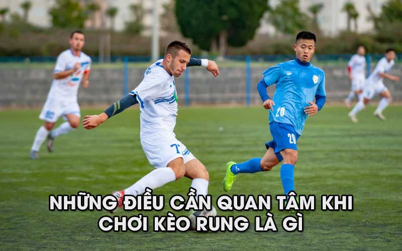 Những điều caafn quan tâm khi chơi kèo rung là gì