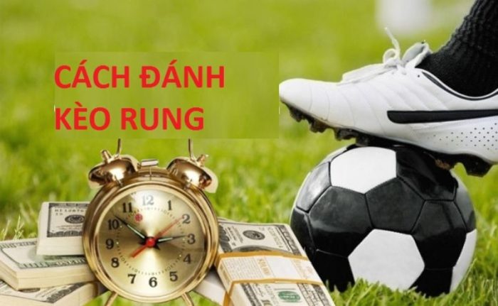 Cách đọc kèo rung bóng đá và kinh nghiệm bắt kèo hiệu quả.