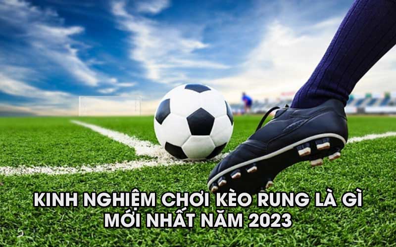 Kinh nghiệm chơi kèo rung là gì mới nhất năm 2024